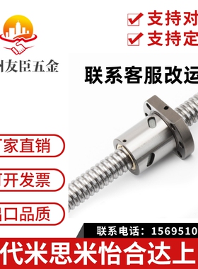 滚珠丝杆BSSE/BSSR/BSST/BSSZK0802 0804 1010 1204 2510 3206