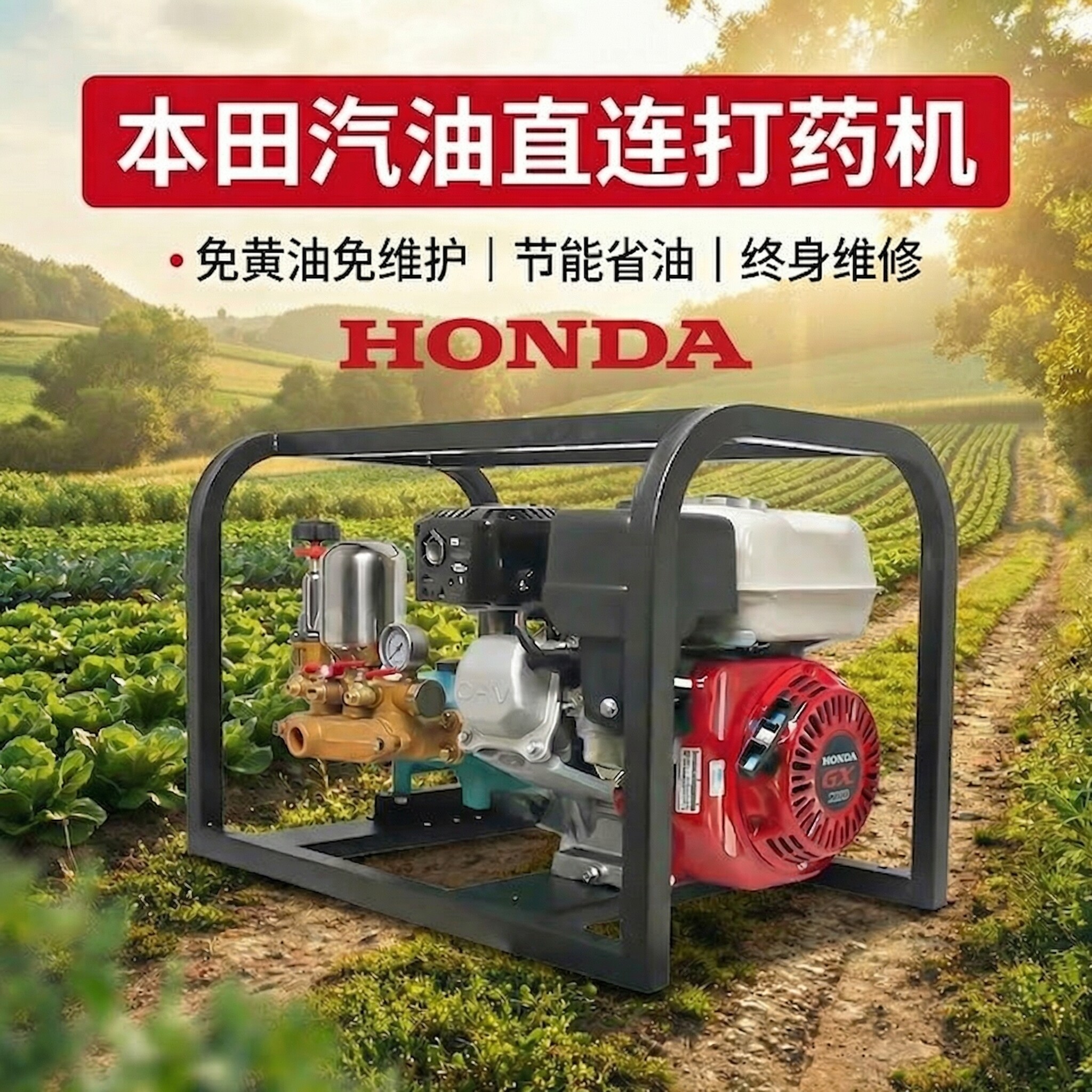 进口本田汽油高压农用打药机