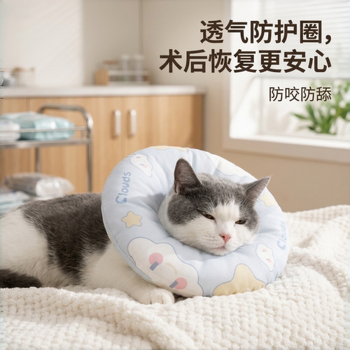 宠物伊丽莎白圈猫咪项圈围脖防舔
