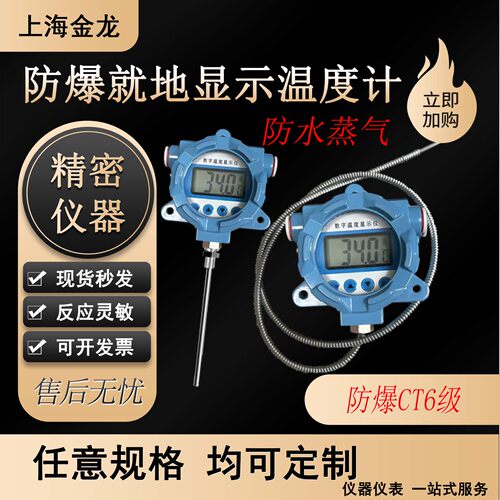 防爆就地显示测温仪带安装CT6级温度计高精度配套设备测蒸汽水温