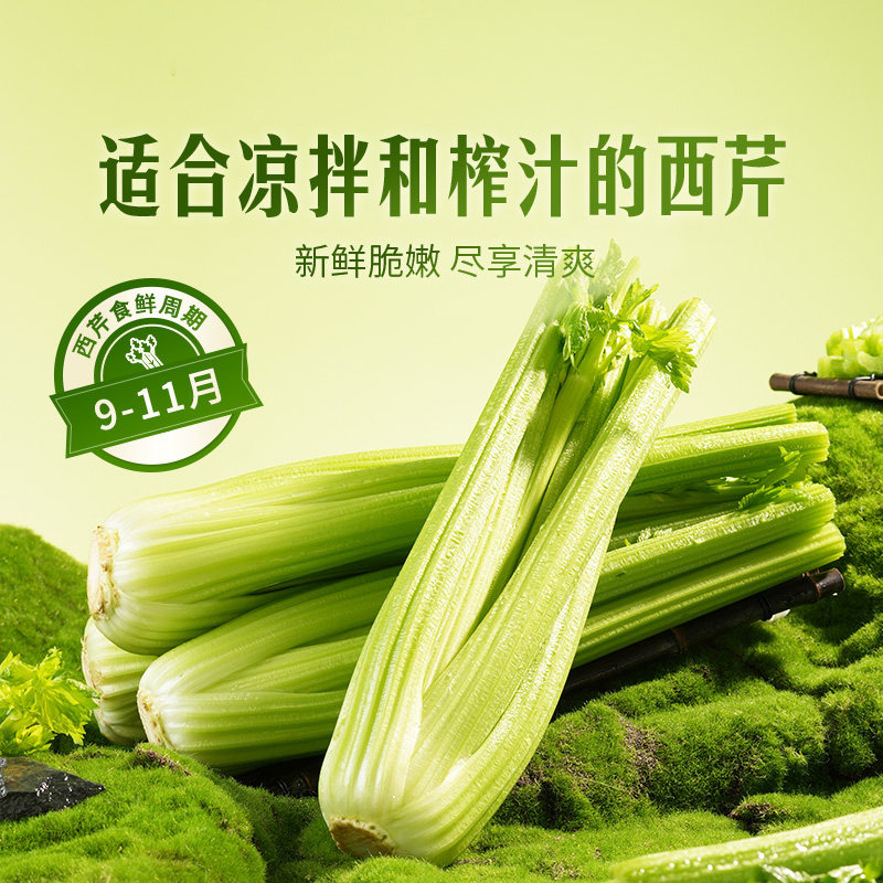 东方甄选西芹芹菜榨汁青菜当季新鲜脆嫩蔬菜水果沙拉凉拌轻食现采