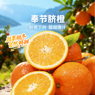 9斤装 东方甄选奉节脐橙新鲜当季 采摘水果时令生鲜橙子5斤装
