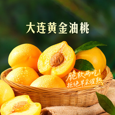 东方甄选大连黄金油桃春夏桃子