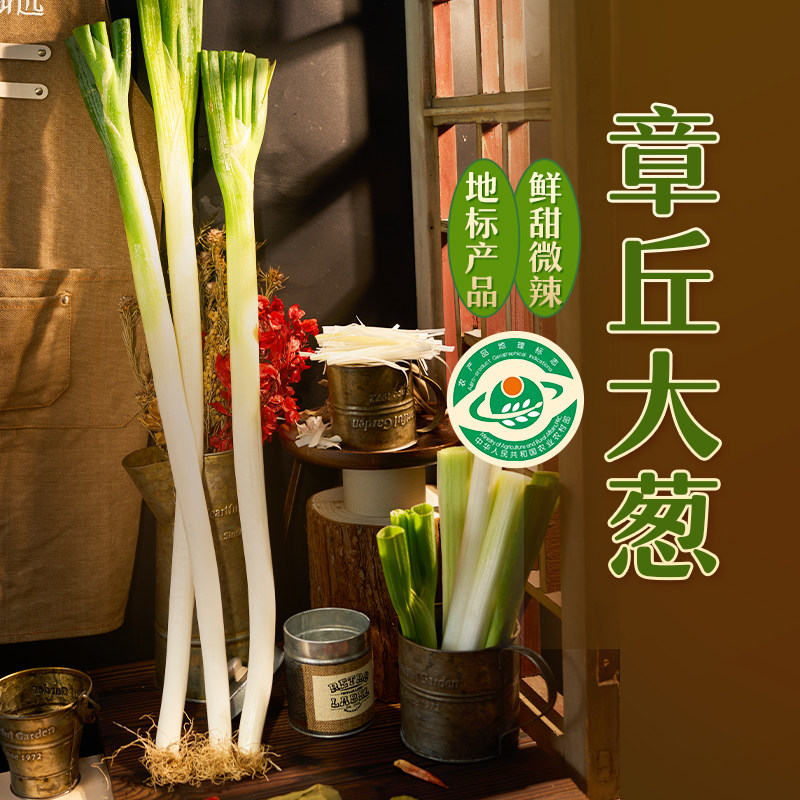 东方甄选山东章丘大葱新鲜蔬菜食用鲜葱卷煎饼葱子整箱顺丰5斤装,水产肉类/新鲜蔬果/熟食,葱类,淘宝优惠券,粉丝福利购,淘宝优惠卷