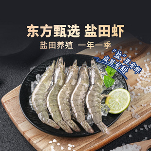 东方甄选盐田白对虾白虾大虾鲜活速冻生鲜冻虾烧烤食材
