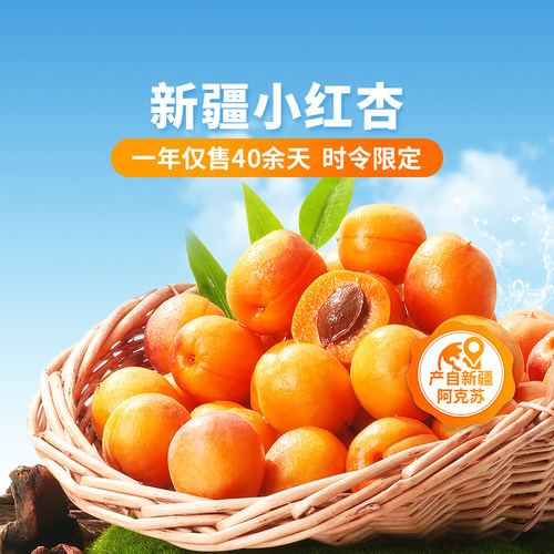 东方甄选新疆小红杏2斤/3斤装