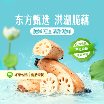 东方甄选洪湖莲藕脆藕3斤/5斤装