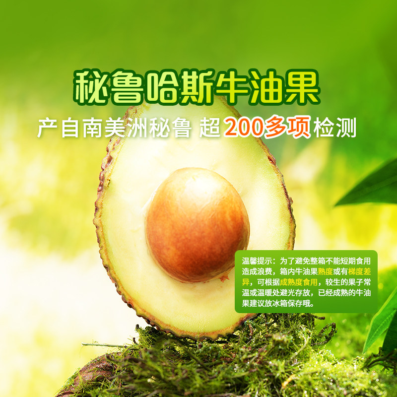 东方甄选秘鲁哈斯牛油果鳄梨时令水果沙拉当季新鲜农产品