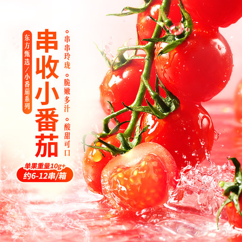 东方甄选串收小番茄2斤装