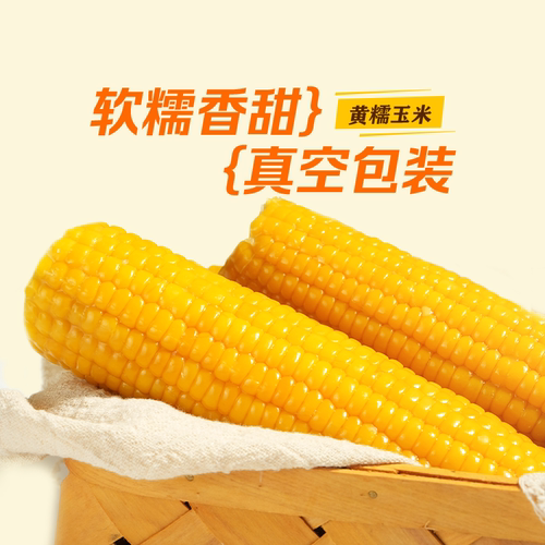 东方甄选黄糯玉米早餐速食8根装