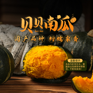 东方甄选贝贝南瓜板栗味当季新鲜蔬菜时令生鲜早餐食品整箱