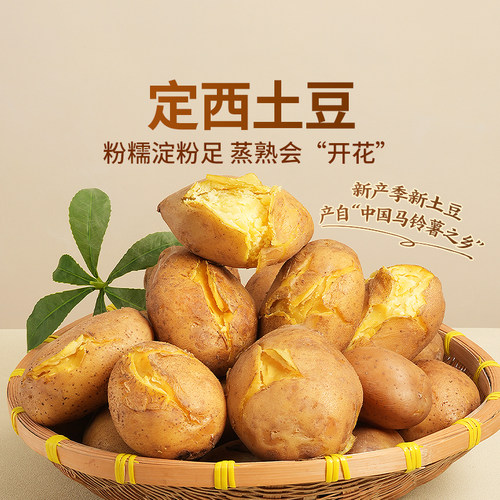 东方甄选定西土豆5斤/9斤装