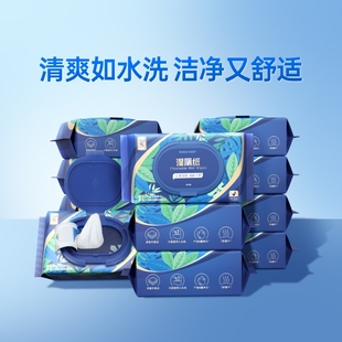 东方甄选牌湿巾湿厕纸家庭装囤货清洁护理厕所湿纸巾温和擦拭