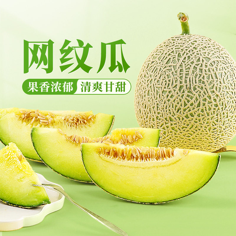 东方甄选网纹瓜蜜瓜甜瓜产自山东当季新鲜水果时令农产品