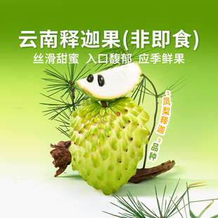 东方甄选云南释迦果番荔枝佛头果非即食当季新鲜水果时令生鲜整箱