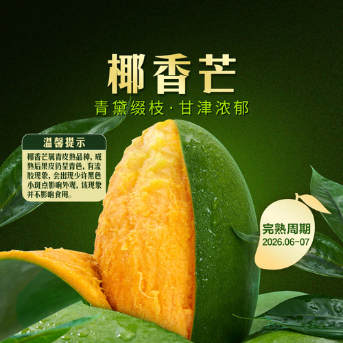 东方甄选椰香芒芒果4.5斤装