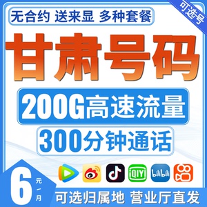甘肃移动纯流量卡手机电话卡归属地平凉酒泉庆阳定西陇南临夏甘南