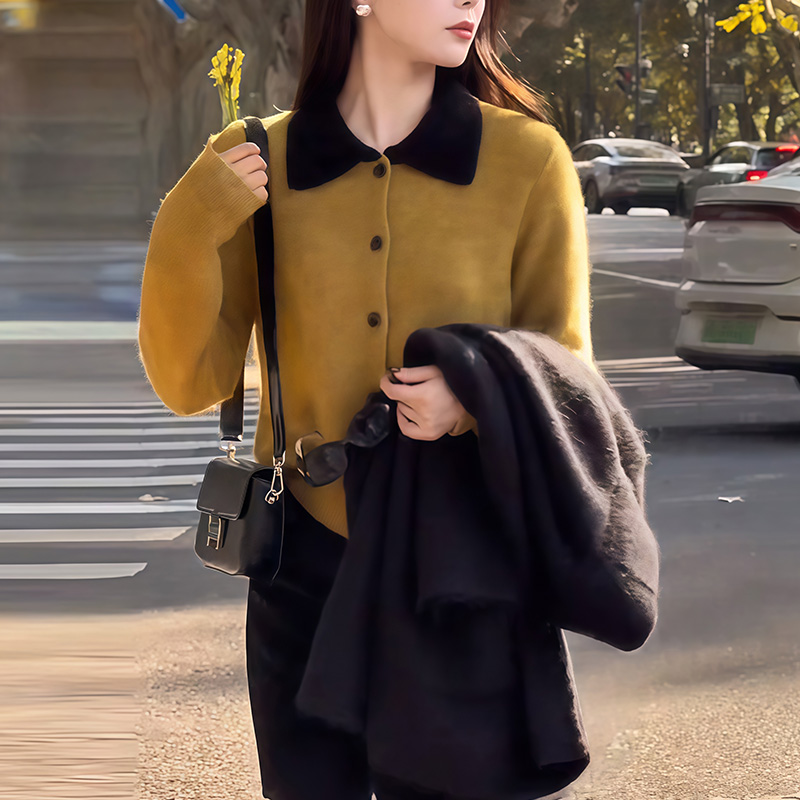 开衫内搭高级感长袖中国韩版针织