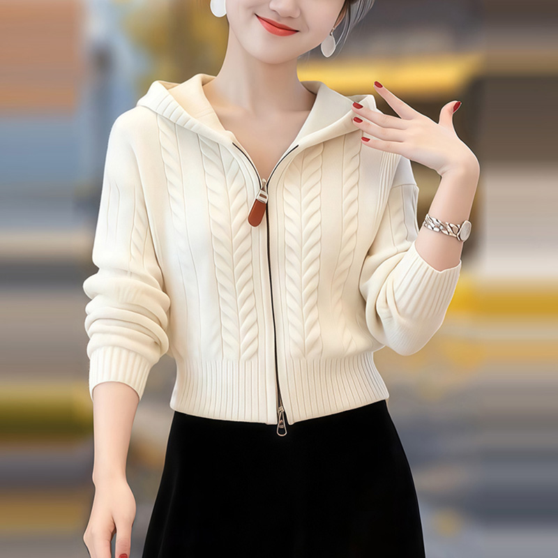 连帽拉链针织开衫女设计感