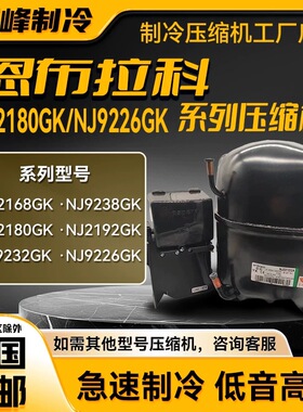 NT2180GK/9226/9232E/NJ9238GK/2192/NT2212全新恩布拉科压缩机-