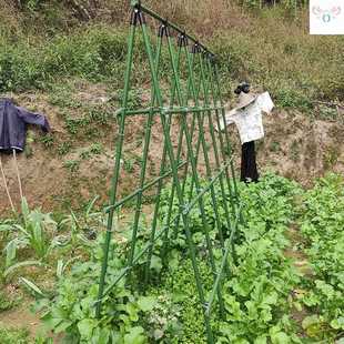 架子多层阳台黄瓜爬藤架番茄西红柿植物架 菜园豆角丝瓜南瓜种菜