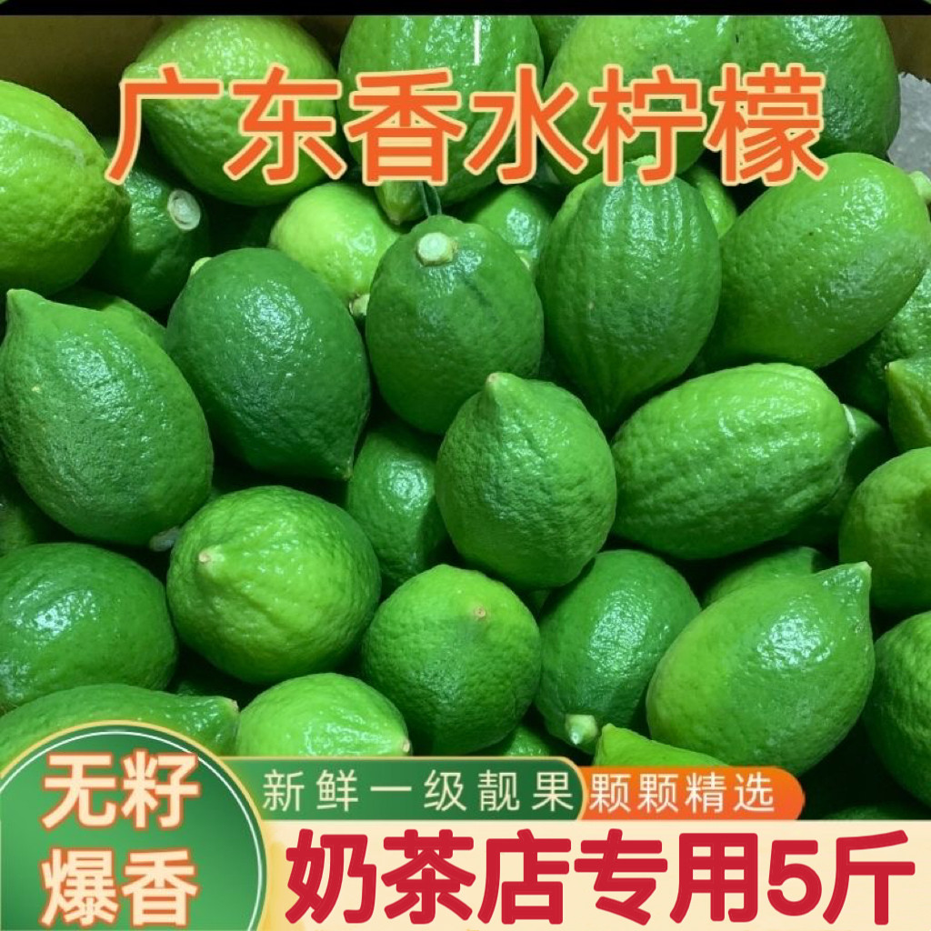 【果园现发】正宗广东无籽香水柠檬一级果手打柠檬茶奶茶店商用