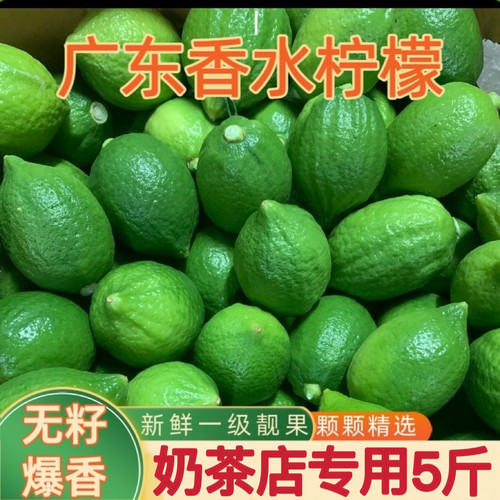 【果园现发】正宗广东无籽香水柠檬一级果手打柠檬茶奶茶店商用