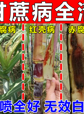 甘蔗专用药甘蔗梢腐病凤梨病黑穗赤腐锈病杀菌抗倒增粗拉长壮丰素