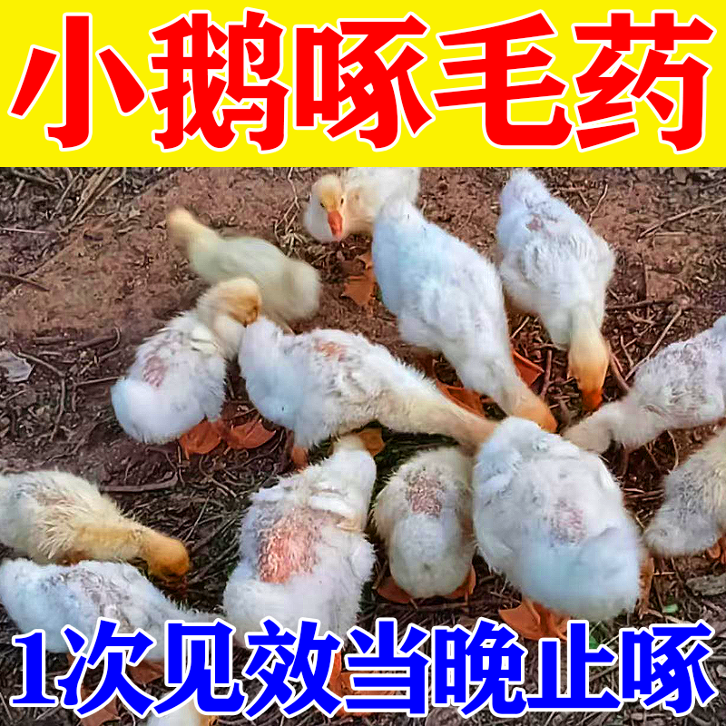 小鹅啄毛药鸡鸭鹅止啄止咬灵禽用