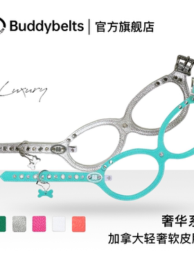 [luxury奢华]加拿大bb胸背带宠物真皮牵引绳BUDDYBELTS狗胸背