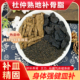 杜仲熟地补骨脂组合茶包补皿精固身体强健月干补养肾泡水喝中药材