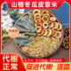 山楂冬瓜皮炒薏仁组合茶包提高代榭去湿消月肿煮水泡水养生中药材