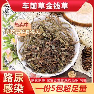 车前草金钱草组合茶包调理养生尿频涩痛刺痛尿黄尿多感髯染中药材