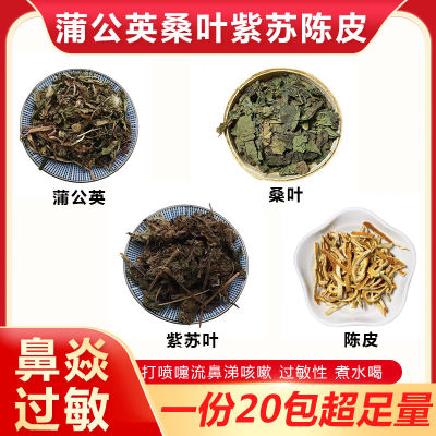 蒲公英桑叶紫苏叶陈皮组茶鼻子不舒服过敏打喷嚏流鼻涕咳嗽中药材