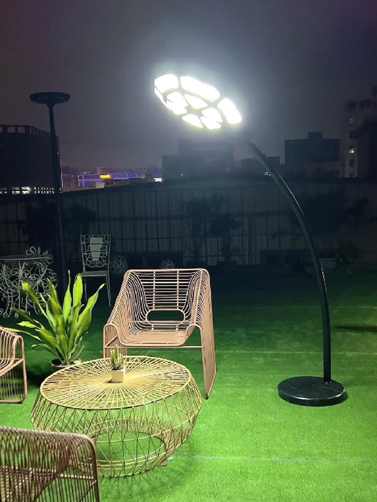 大功率庭院公园小区花园太阳能人体感应定时调高度壁灯草坪落地灯