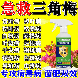三角梅病虫害专用芍药炭疽白粉斑叶子发黄卷叶病杀虫剂开花营养液