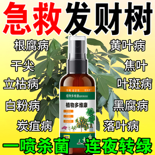 发财树黄叶枯叶烂根专用药掉叶斑病杀菌剂强力生根发芽复活营养液