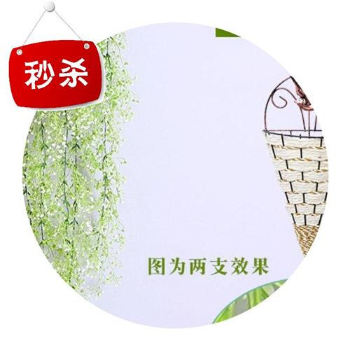 今年流行装饰吊篮窝花篮壁u挂墙上藤编悬i挂花盆挂篮壁挂花墙干花