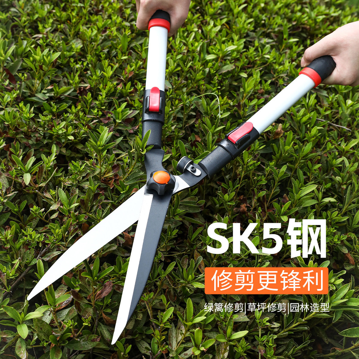 园林绿化园艺剪刀省力花木修花树木修剪树枝绿篱修枝剪篱笆图片