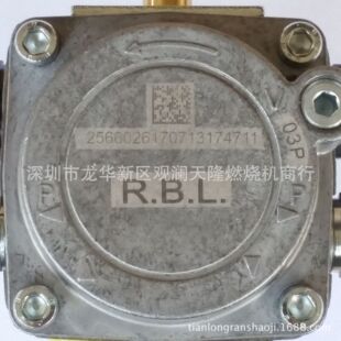 销售RIELLO 利雅路牌40 G5 G10 G20系列R.B.L.03P柴油燃烧机油泵