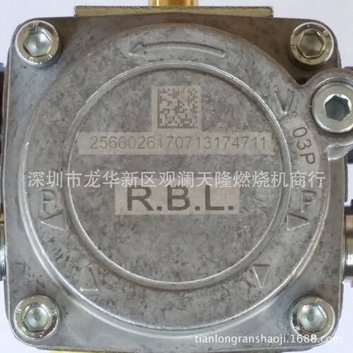 销售RIELLO 利雅路牌40 G5 G10 G20系列R.B.L.03P柴油燃烧机油泵