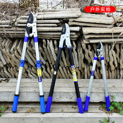 工厂修枝剪粗枝剪刀果树树枝剪强力伸缩园艺大剪园林大剪刀花枝剪