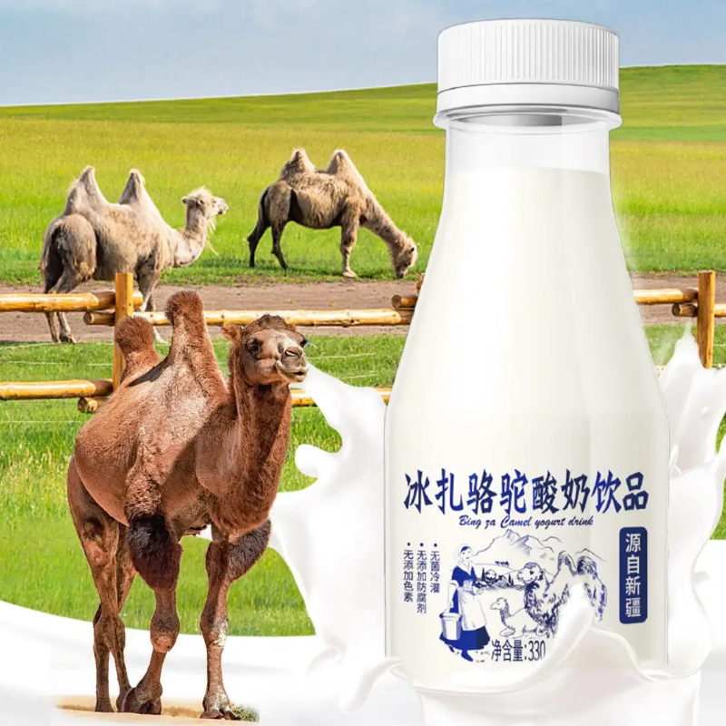 新疆冰扎骆驼酸奶早餐奶休闲食品