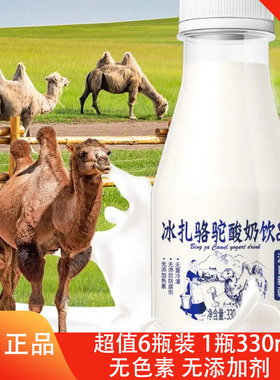 新疆冰扎骆驼酸奶整箱原味330ml*6瓶饮品儿童孕妇早餐奶休闲食品
