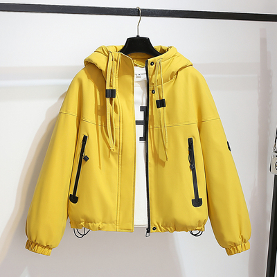 今年流行爆款连帽冲锋棒球服外套