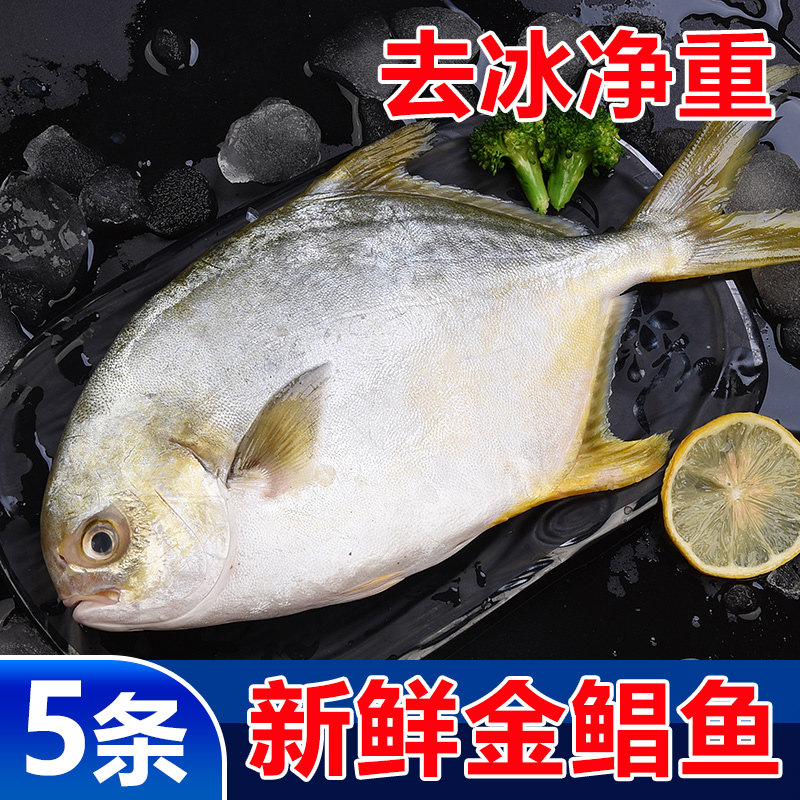 金鲳鱼特大鲳鱼海鱼金昌鱼平鱼银鱼白鲳鳊鱼鲜活新鲜冷冻冰鲜顺丰,水产肉类/新鲜蔬果/熟食,鲳鱼,淘宝优惠券,粉丝福利购,淘宝优惠卷