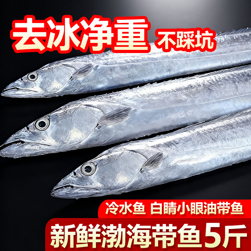 咂摸嘴新鲜特带鱼中段5斤