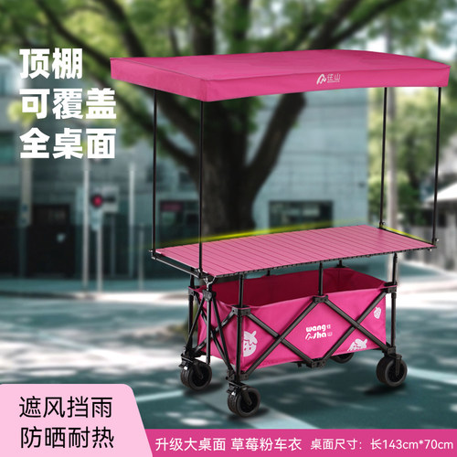 户外露营野餐车营地车