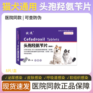 宠物头孢羟氨苄片猫咪狗狗感冒消炎药犬皮肤病咳嗽尿路感染抗生素