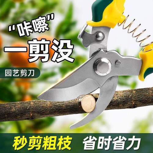 园艺剪刀修枝剪树枝园林花艺专用强力修剪果树剪枝修花摘果子神器